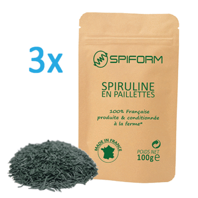 3 x Sachets de 100g en paillettes